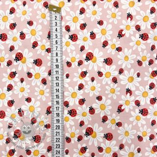 Jersey Baby Ladybug rose digital print