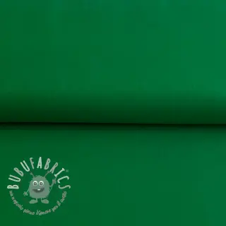 Tessuto CANVAS green