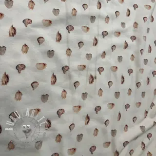 Jersey Baby Seashells digital print 2nd class