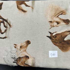 Last pieces package Tessuto decorativo 979