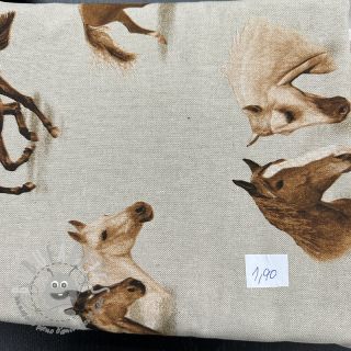 Last pieces package Tessuto decorativo 979