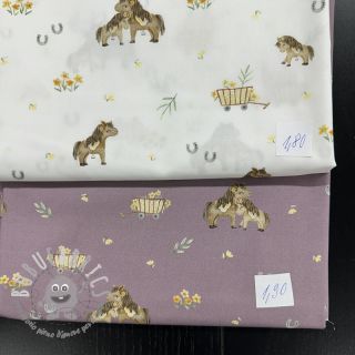 Last pieces package Tessuto di cotone 4390