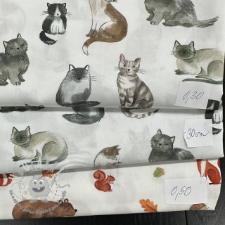 Last pieces package Tessuto di cotone 4393