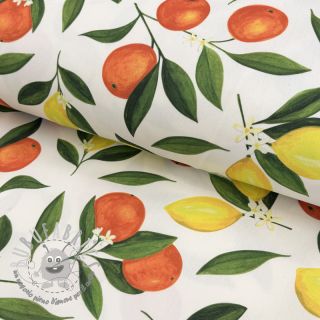 Tessuto decorativo con trattamento al teflon Citrus Fruit