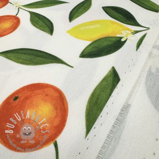Tessuto decorativo con trattamento al teflon Citrus Fruit