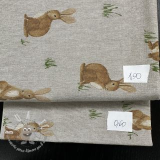Last pieces package Tessuto decorativo 1161