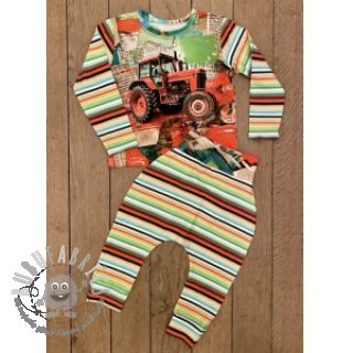 Jersey Great big farm green stripe digital print