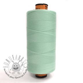 Filo di poliestere Amann Belfil-S 120 pastel mint
