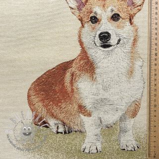 Tessuto decorativo GOBELIN PREMIUM Sitting Corgi Dog PANEL