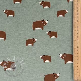 Jersey Bears dark mint melange