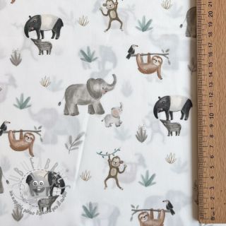 Tessuto di cotone Safari off white digital print