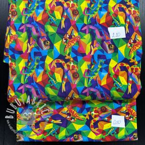 Last pieces package digi print jersey 2134