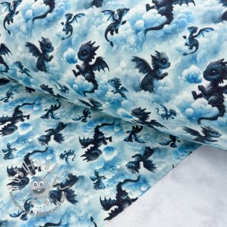 Felpa garzata JOGGING Dragons design C digital print