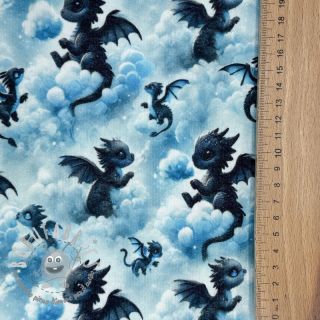 Felpa garzata JOGGING Dragons design C digital print